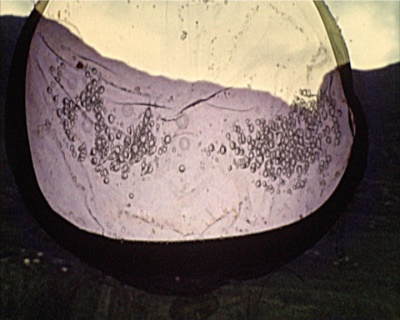 Exemple d'une image d'un film super 8 qui a été brulé par la lampe du projecteur.